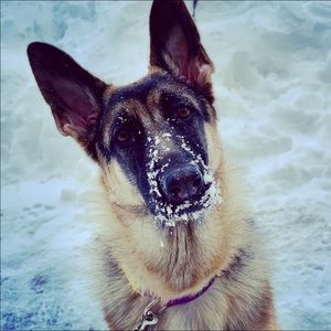 Meet your Posher, Hailey